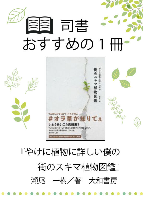 司書おすすめの１冊